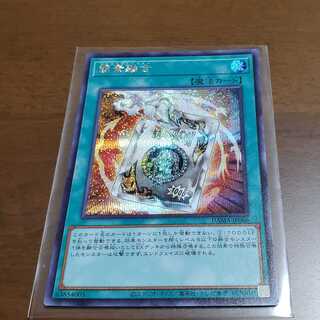 【クロネコ様専用】簡素融合(シークレットレア)