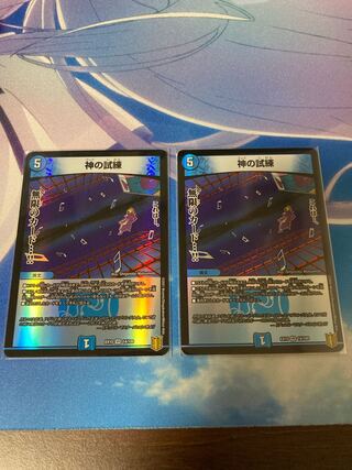 神の試練 2枚