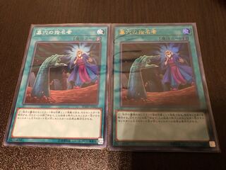 ★墓穴の指名者★【2枚セット】