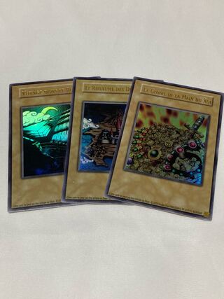 王の右手の栄光　王国　王国への船出　フランス語版　EU版