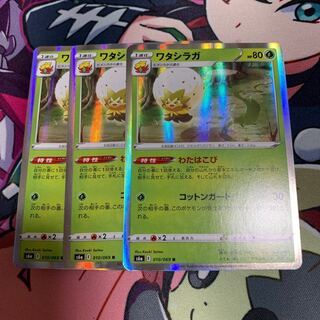 ワタシラガ3枚セット