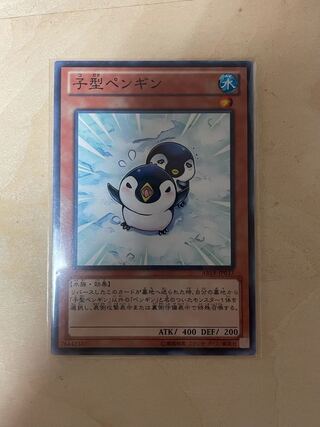 子型ペンギン ノーマルレア