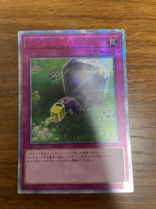 のどかな埋葬 20thシークレットレア