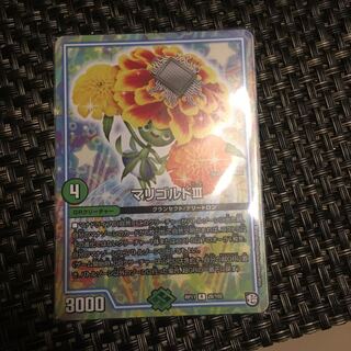 マリゴルドサード
