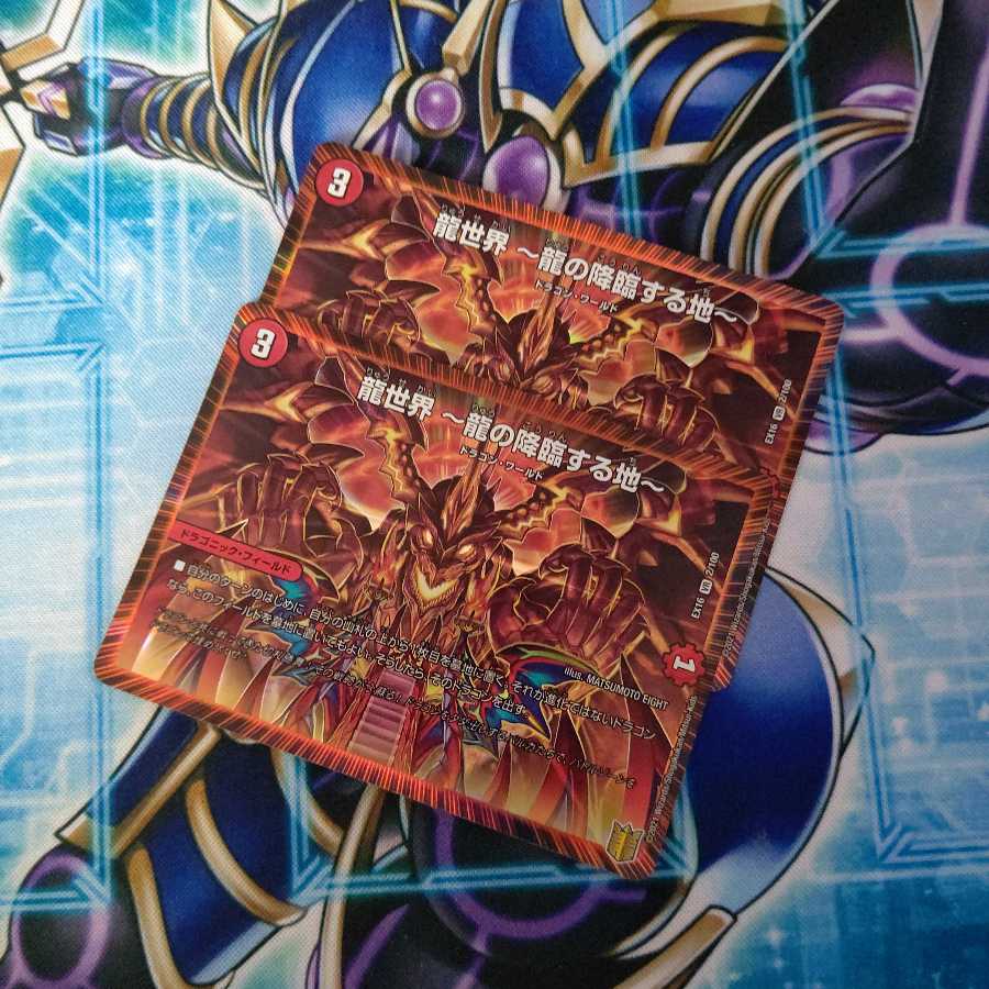 龍世界 -龍の降臨する地- VR ２枚セット