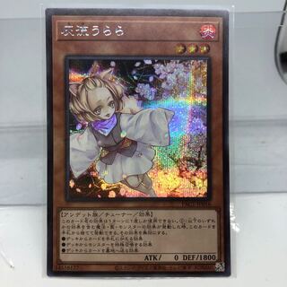 灰流うらら シークレットレア