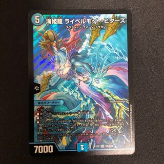 海姫龍 ライベルモット・ビターズ SR