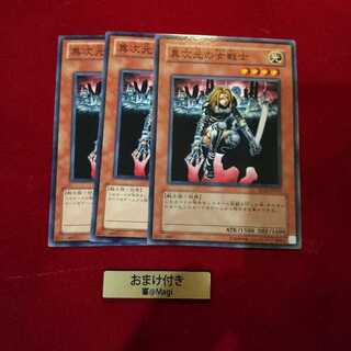 異次元の女戦士 ノーマル