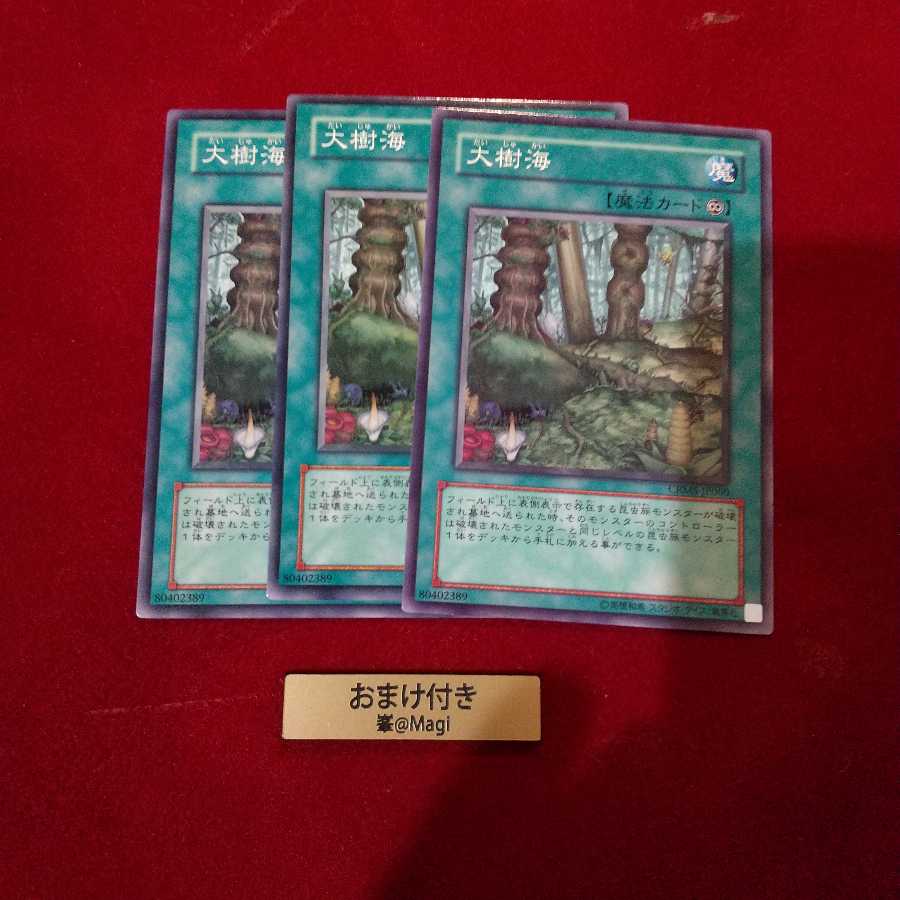 大樹海 ノーマル