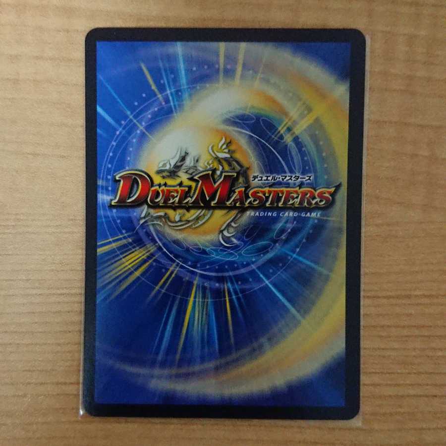 反逆龍 5000typeR|無法頂上会議1枚