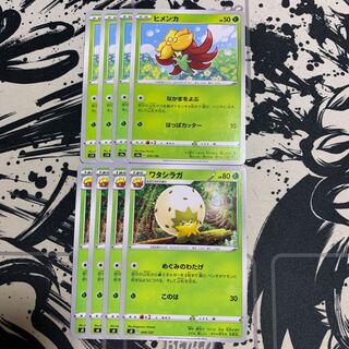 ヒメンカ　ワタシラガ