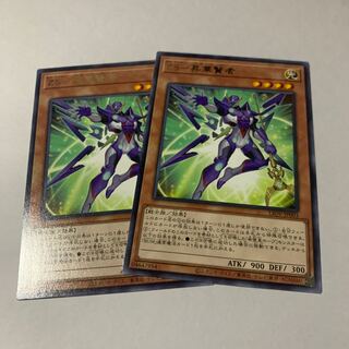 ZS-昇華賢者 レア2枚セット