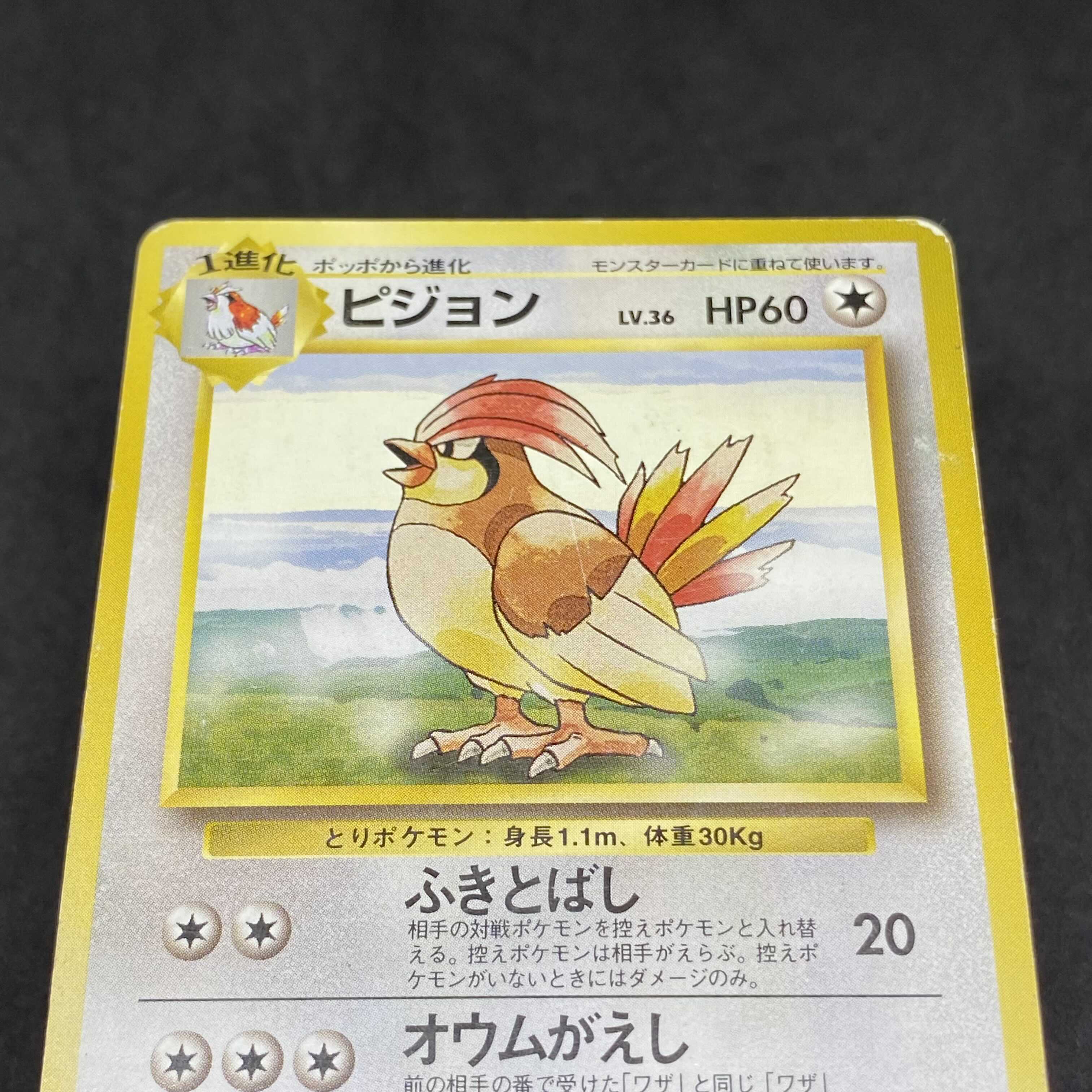 ポケモンカード 旧裏面 ピジョン 初版 ☆なし マークなしの通販 希少 