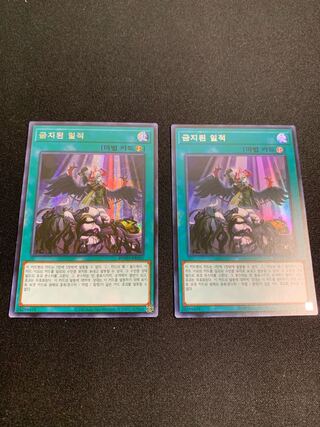 韓国　禁じられた一滴　シークレット　スーパーレア