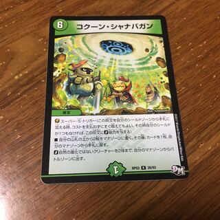 コクーンシャナバガン