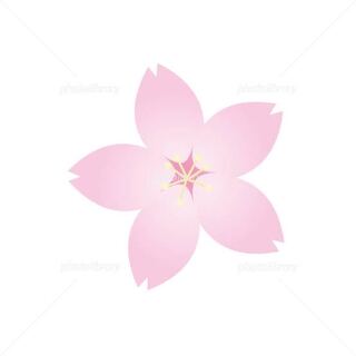 コメント専用です