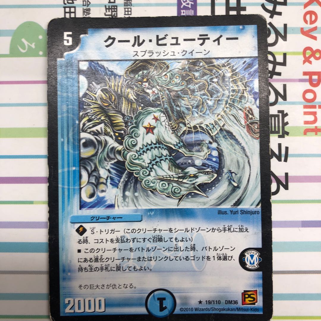 クール・ビューティー