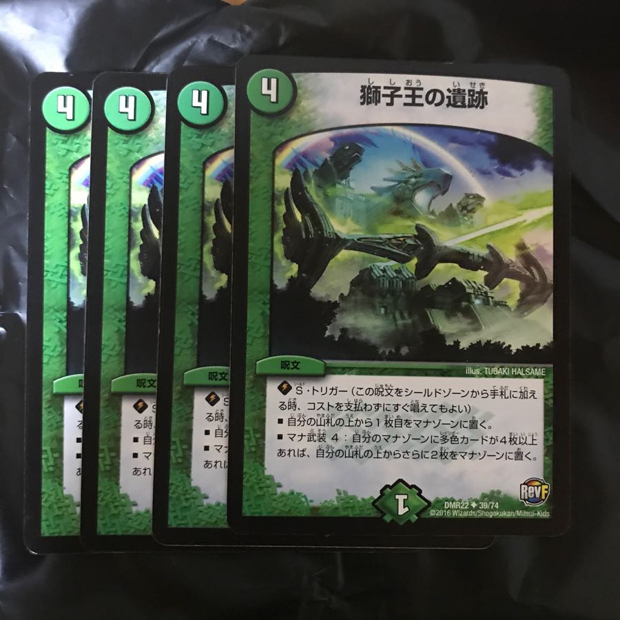 獅子王の遺跡4枚