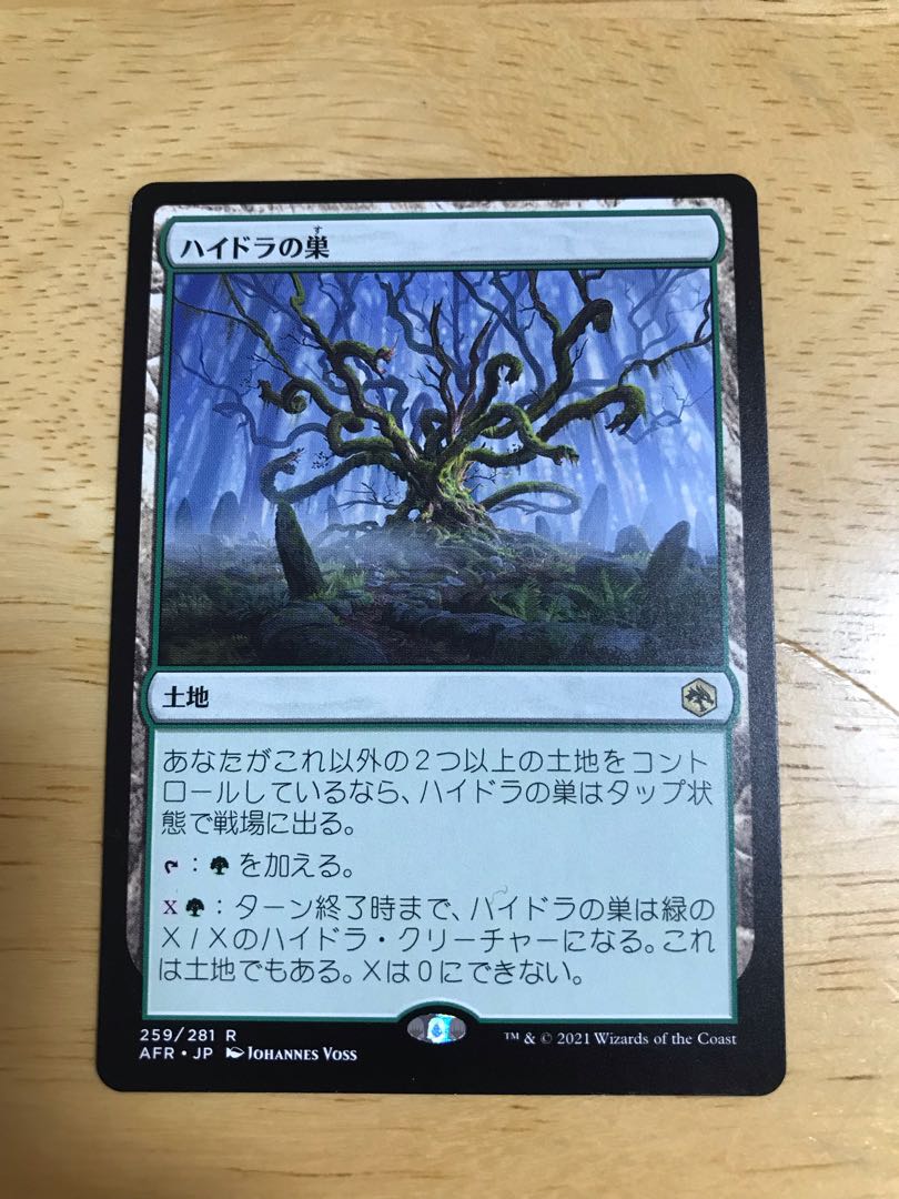 ポータブル・ホール　ハイドラの巣