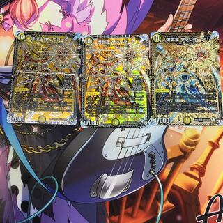 サッヴァーグ 1枚