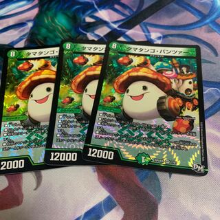 タマタンゴ・パンツァー 3枚