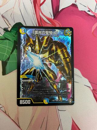 「雷光の聖騎士」