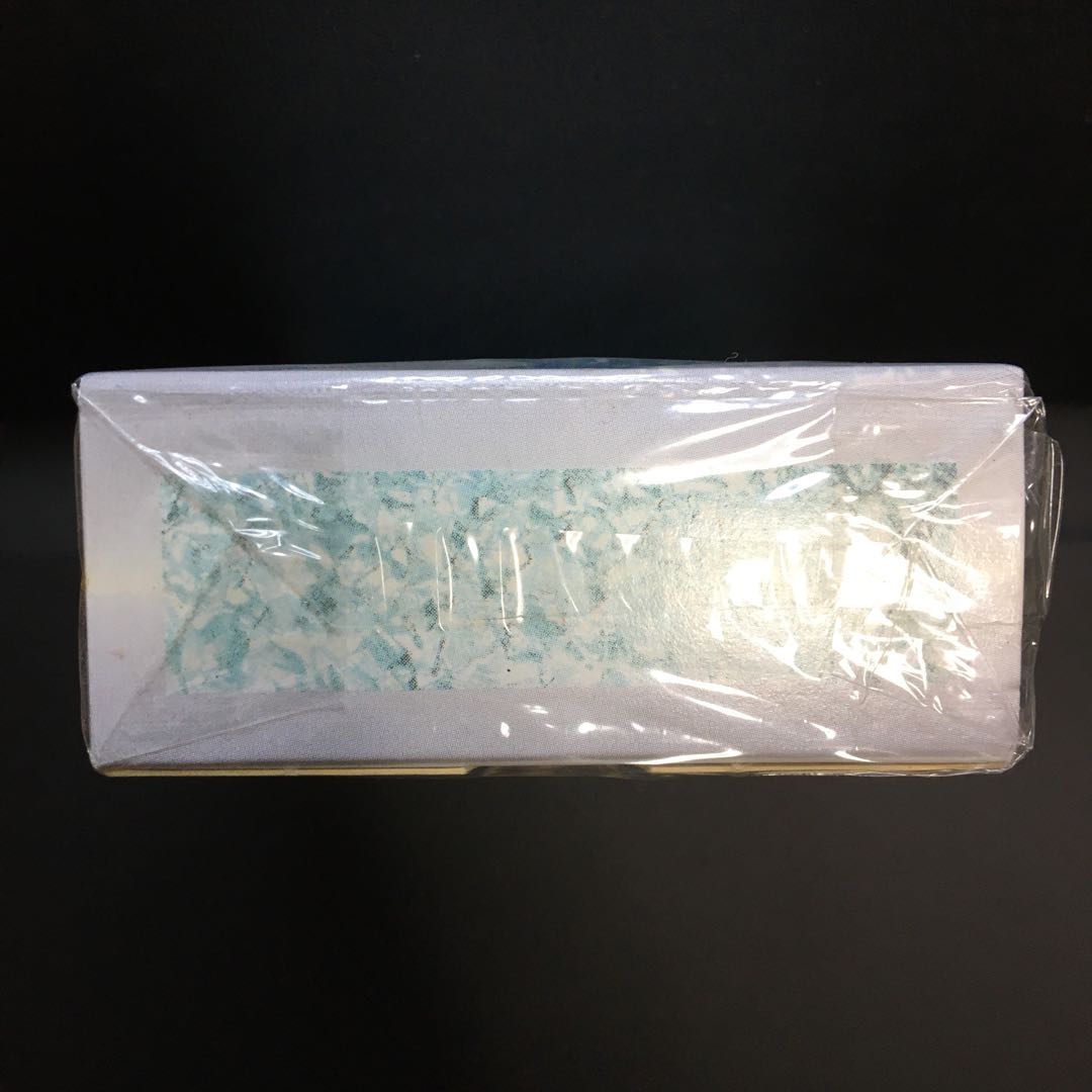 MTG ICE AGE アイスエイジ 未開封スターター(英語版)