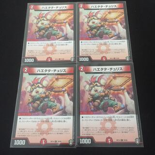 ハエタタ・チュリス