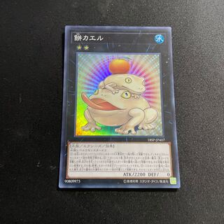 遊戯王 - 遊戯王　餅カエル　スーパー 遊戯王 餅カエル スーパー - メルカリ