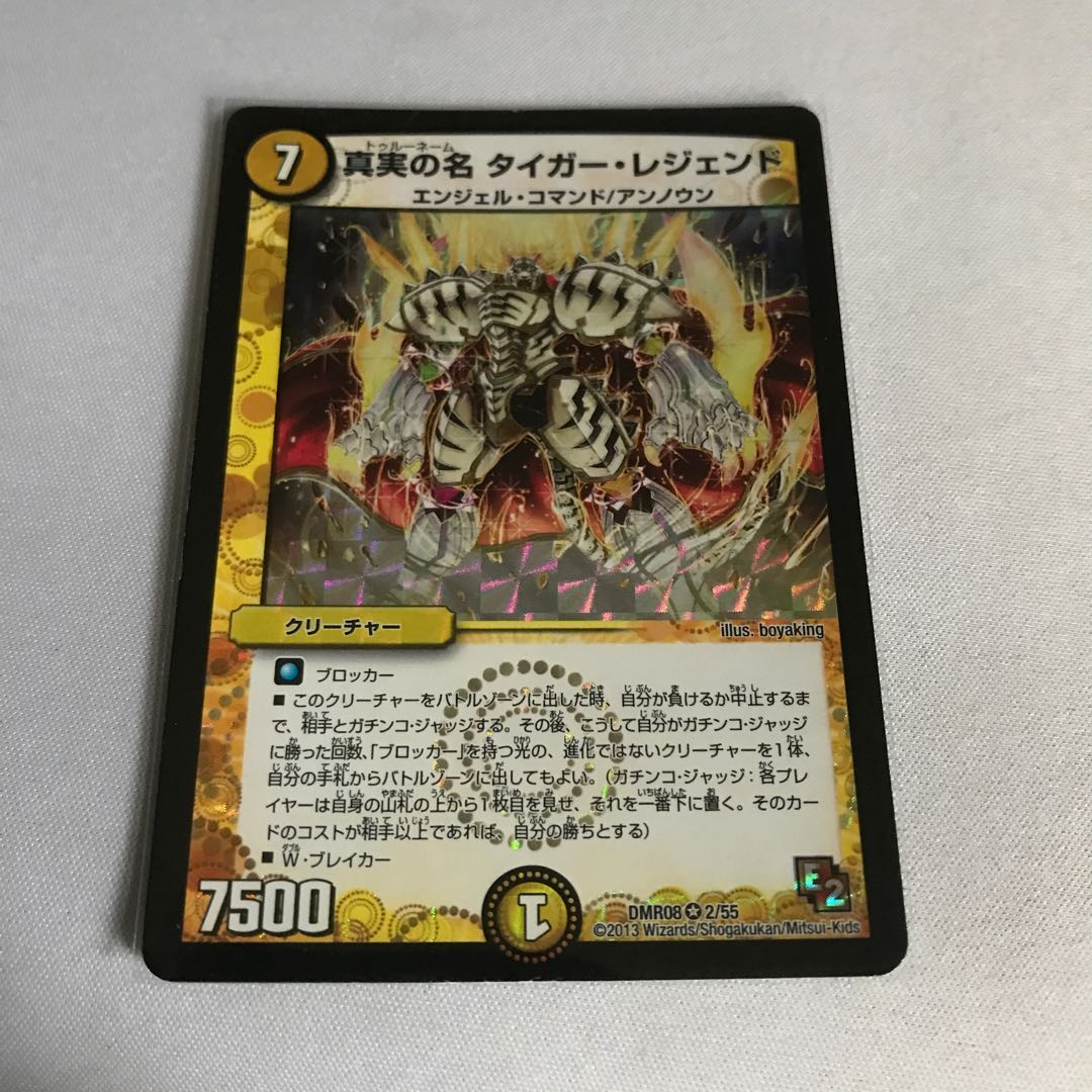 真実の名 タイガー・レジェンド