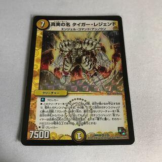 真実の名 タイガー・レジェンド