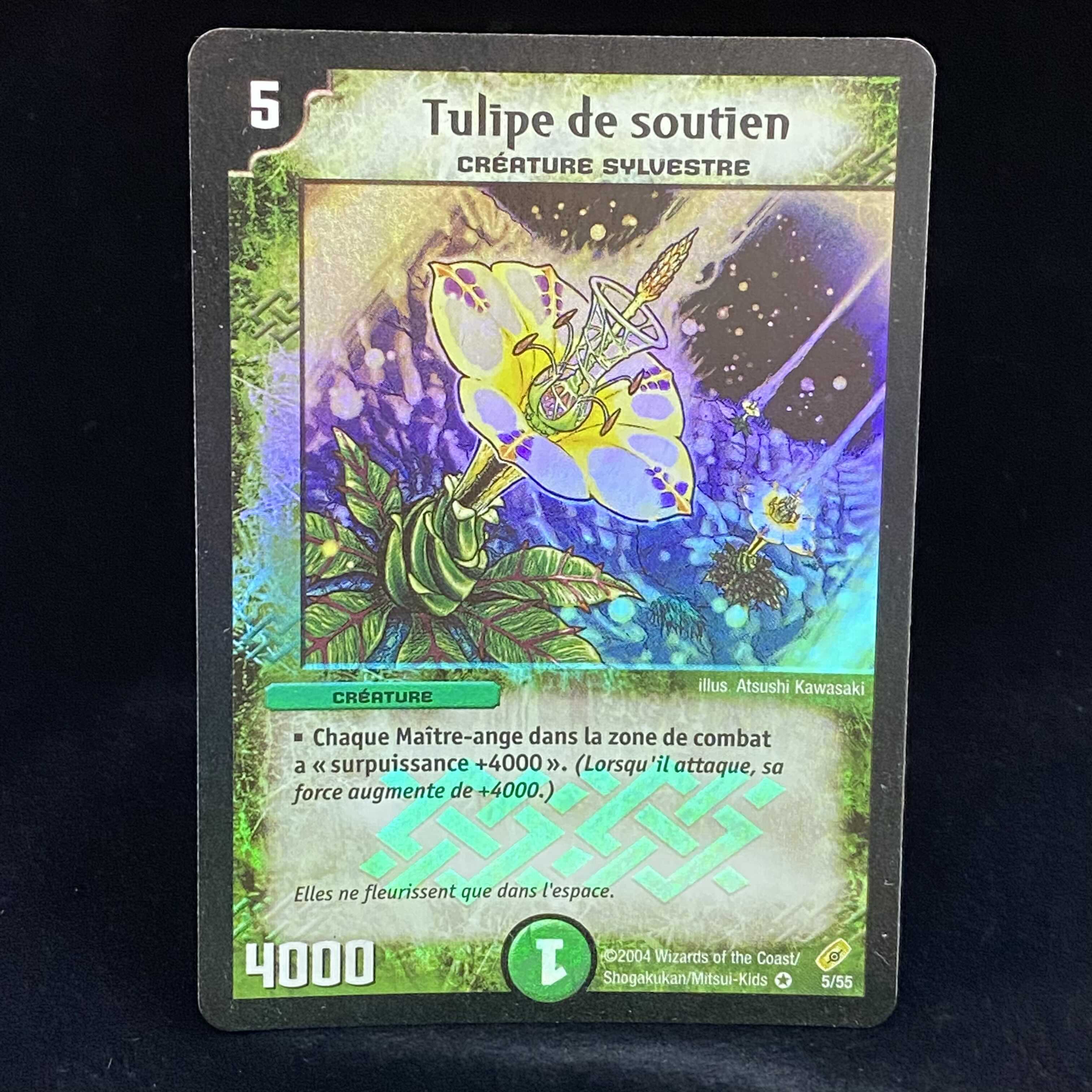 French version of Supporting Tulip