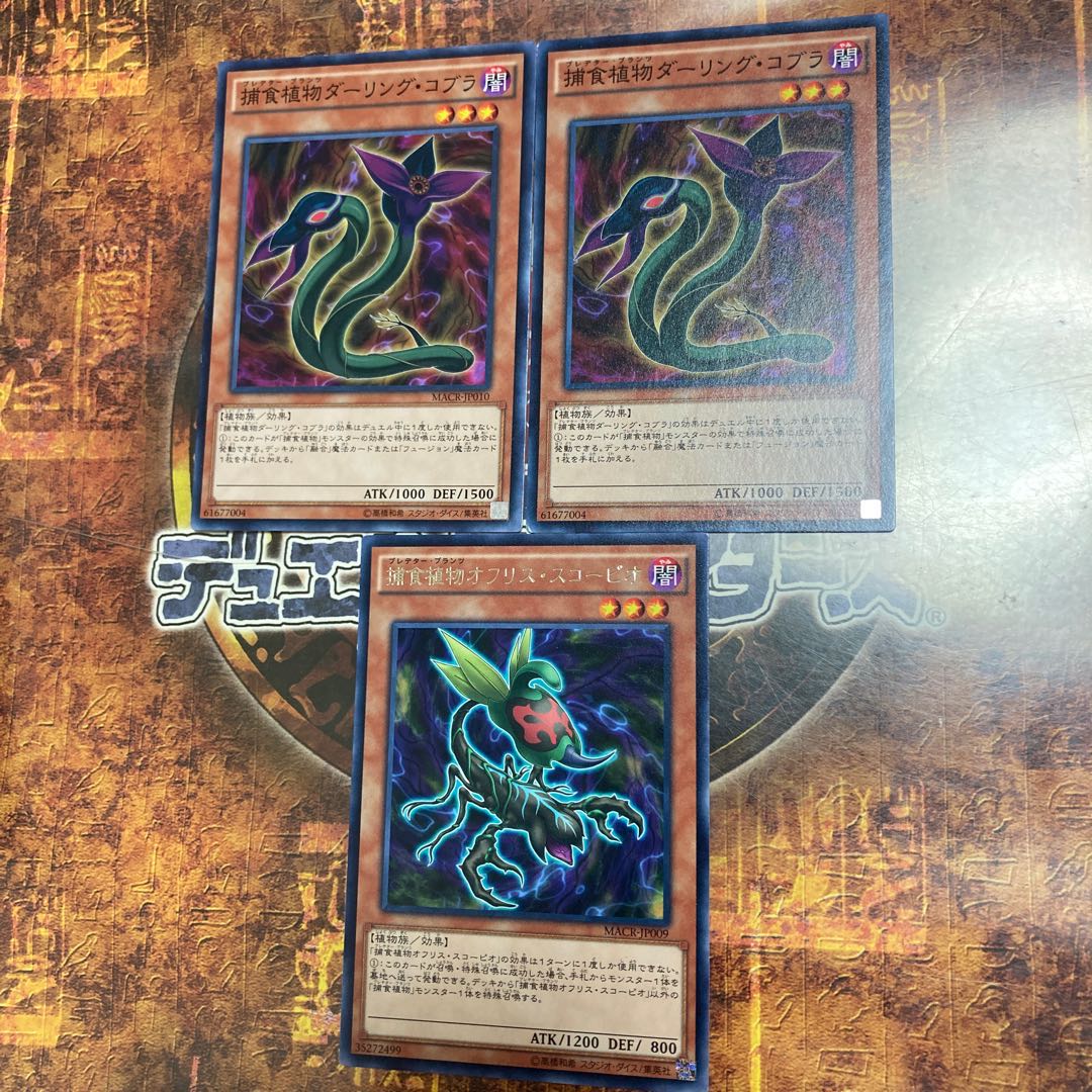 遊戯王★捕食植物オフリス・スコーピオ、ダーリング・コブラ★三枚セット★
