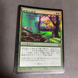 風景の変容 日本語初版foil