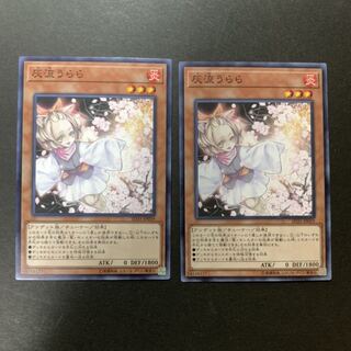 遊戯王　灰流うらら　ノーマル2枚