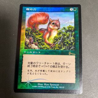 樫の力 日本語初版foil 美品