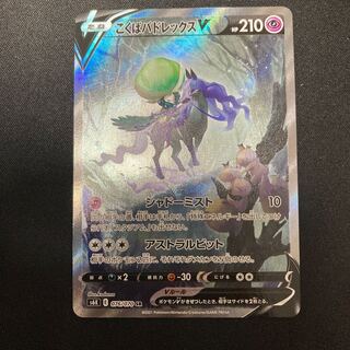 こくばバドレックスV SA