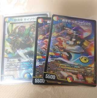 ハヤブサリュウ2枚 サイゾウミスト1枚