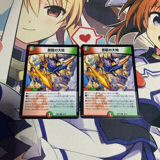 蒼龍の大地 2枚