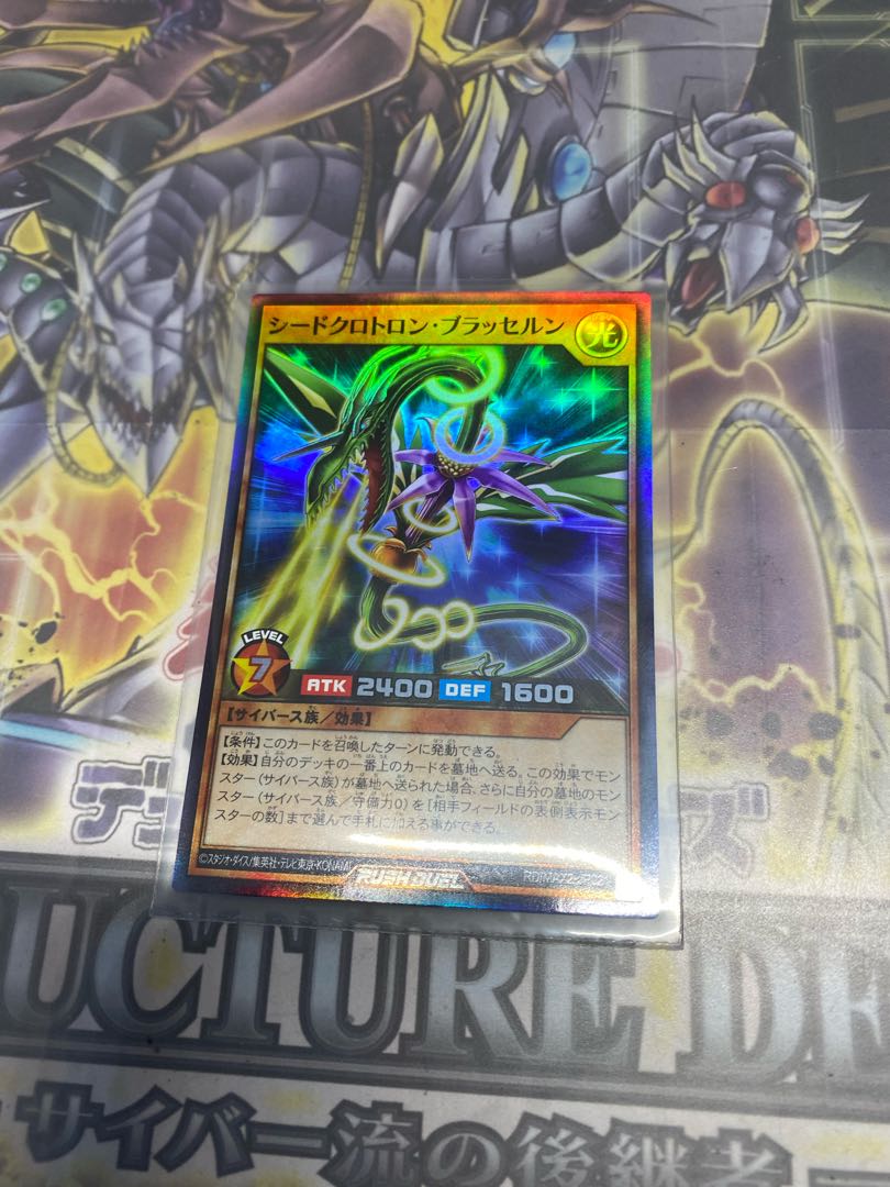 シードクロトロン・ブラッセルン