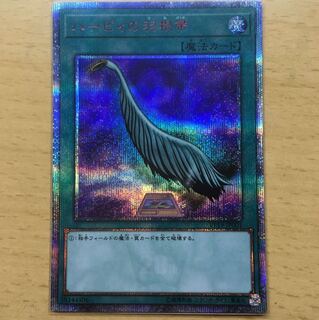 ハーピィの羽根帚 20thシク