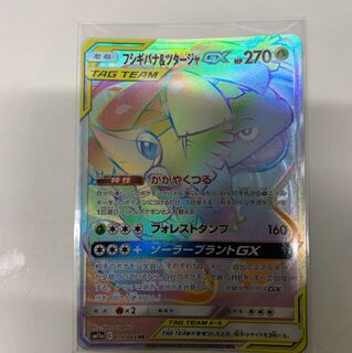 フシギバナ＆ツタージャGX HR