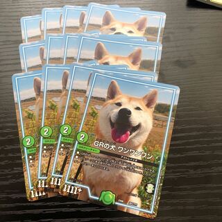 Ships within 24h Set of 12