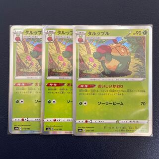 タルップル(R仕様)3枚