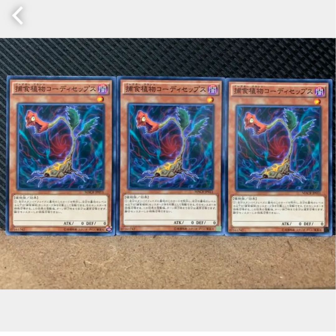 Popotan] Yu-Gi-Oh 1714 Predaplant Cordyceps 3 sheets Normal