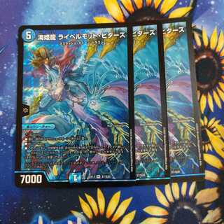 海姫龍 ライベルモット・ビターズ SR