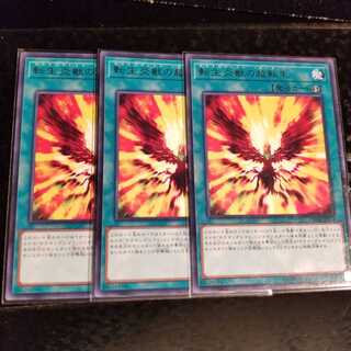 【願い事】転生炎獣の超転生 3枚