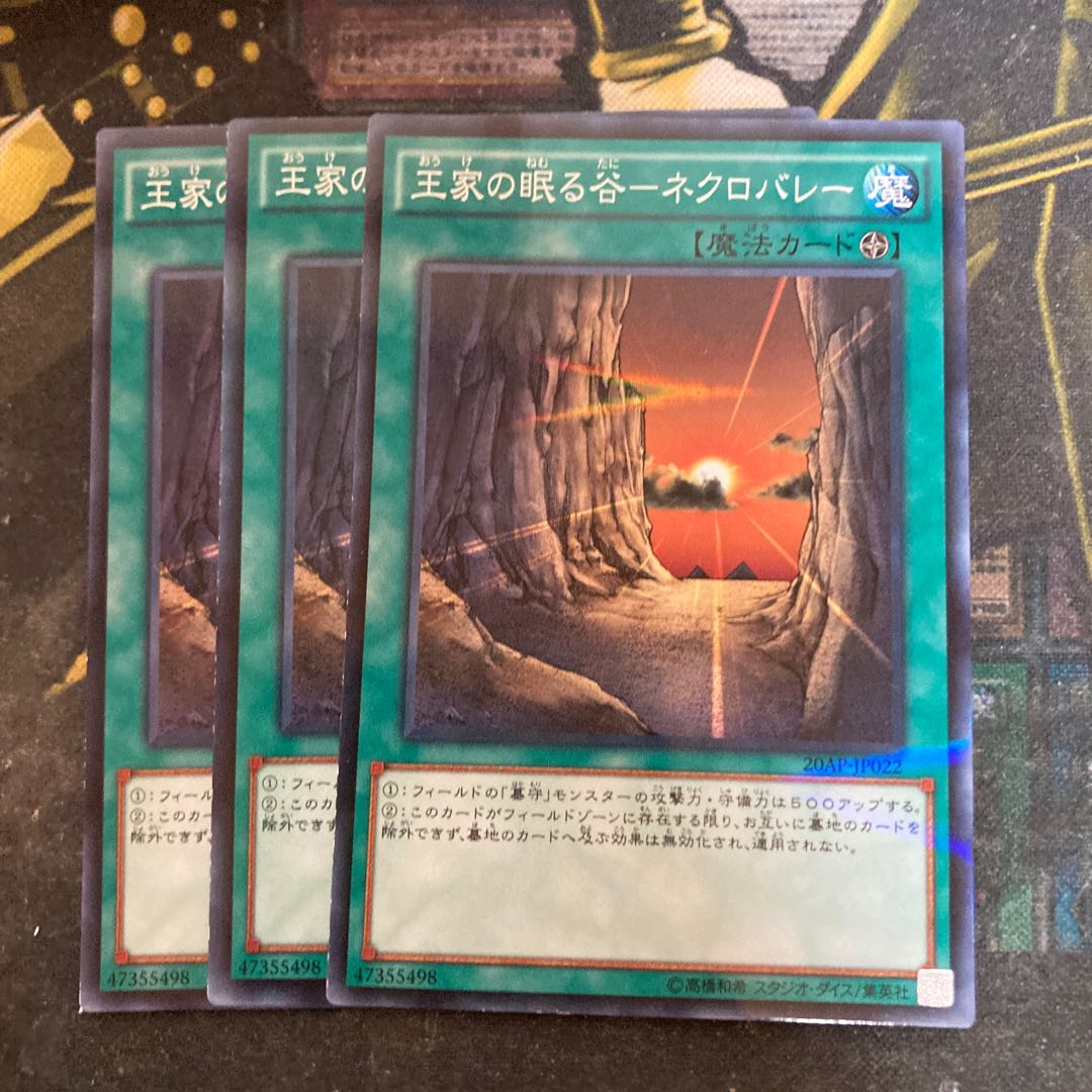 Madras 6356 Valley of Sleep of Kings - Necro Valley Parallel Normal