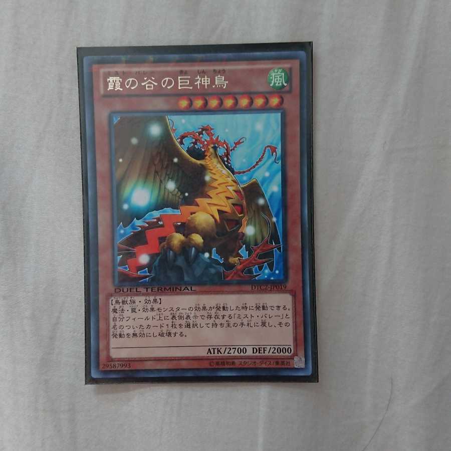 霞の谷の巨神鳥