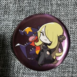 ポケモンカード ダメカンケース シロナ